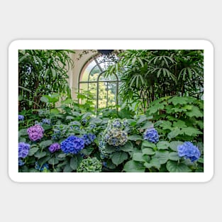 Conservatory Garden Sticker